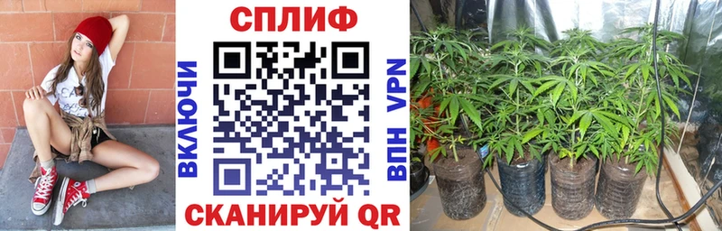 Купить наркотики цена Брюховецкая COCAIN  Канабис  Амфетамин  A PVP  ГАШИШ  Галлюциногенные грибы  кракен tor  МЕФ 