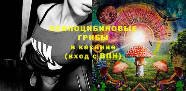 ECSTASY Горняк