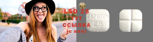 ECSTASY Горняк