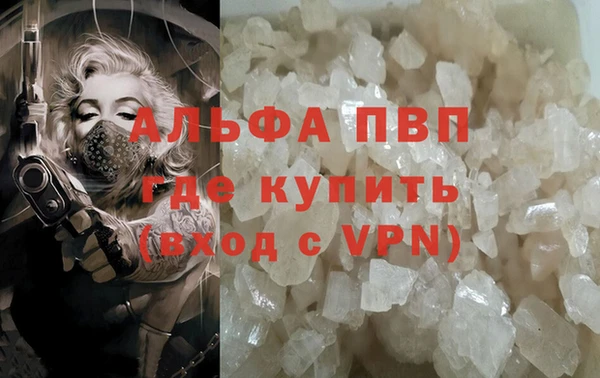 ECSTASY Горняк