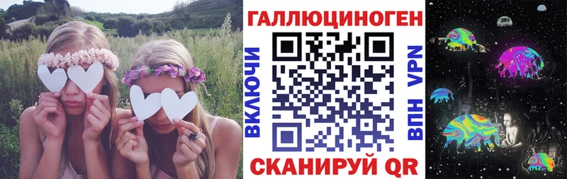 купить  цена  Брюховецкая  Псилоцибиновые грибы Cubensis 